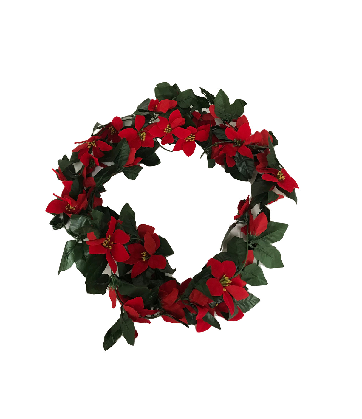 Enrredadera de Flores de Pascua