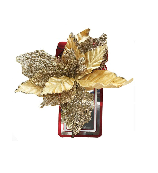 Flor de Pascua, Dorada