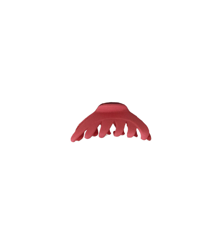 Clip de Pelo