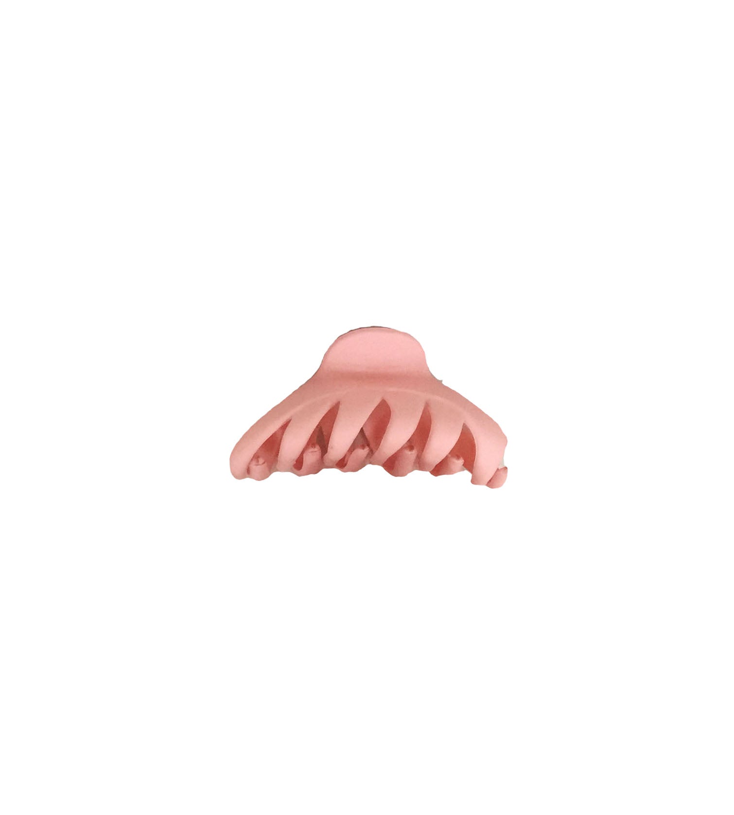 Clip de Pelo