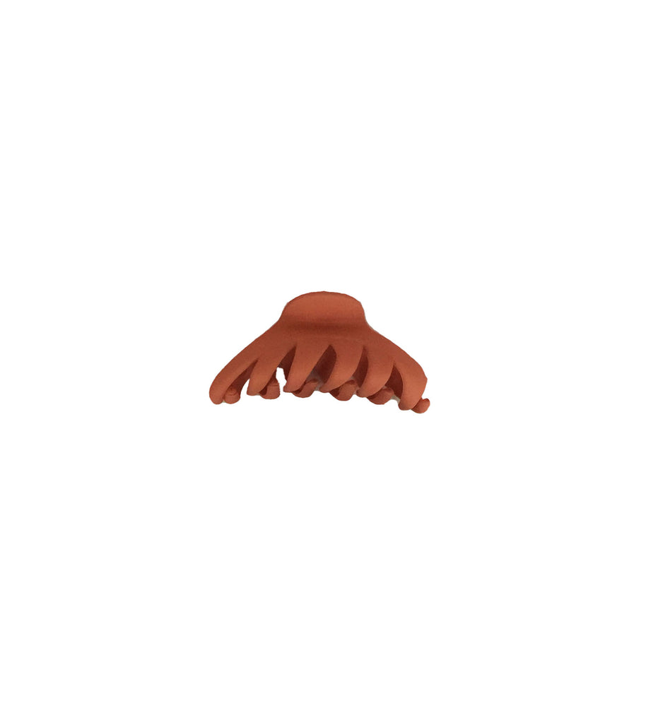 Clip de Pelo
