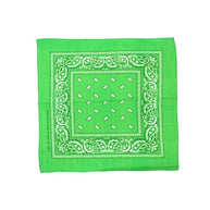 Paisley Classic 100% Cotton Lime Bandana- Valsan Inc